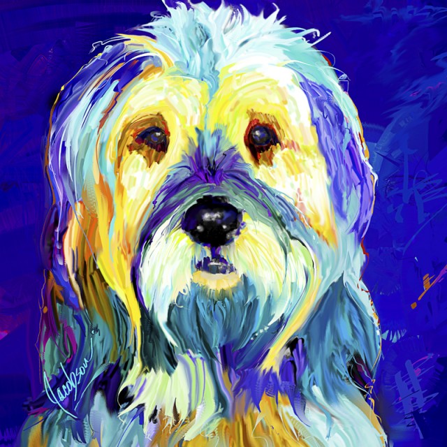 Porttuguese Water Dog, Dog Paintings