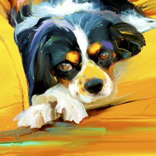 Dog Paintings - King Charles Spaniel