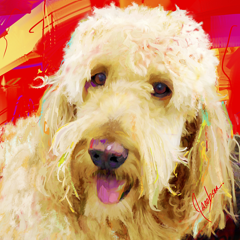 Dog Portraits - Golden Doodle