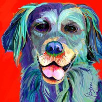 Dog Portraits - Golden Retriever