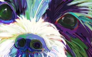 Dog Paintings - Jackie Jacobson