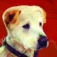 Dog Portraits, Jackie Jacobson