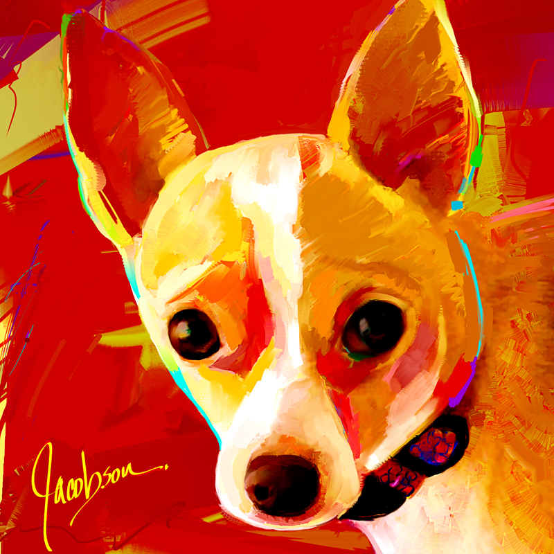 Dog Portraits, Chihuahua