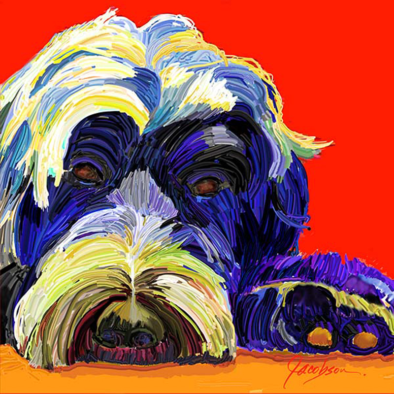 Dog Portraits, Portuguese water dog