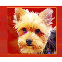Note cards - Yorkie