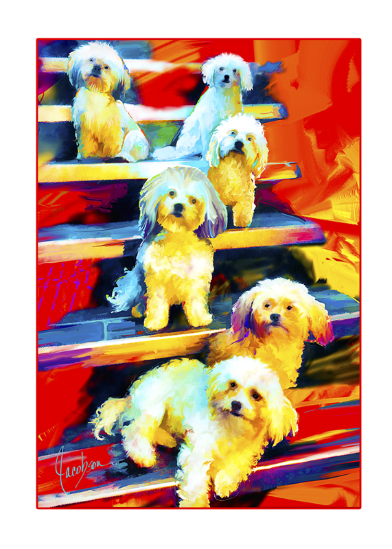 Dog Portraits