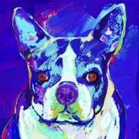 Dog Paintings - Boston Terrier